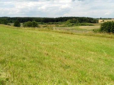 Działka budowlano-rolna Jankowo