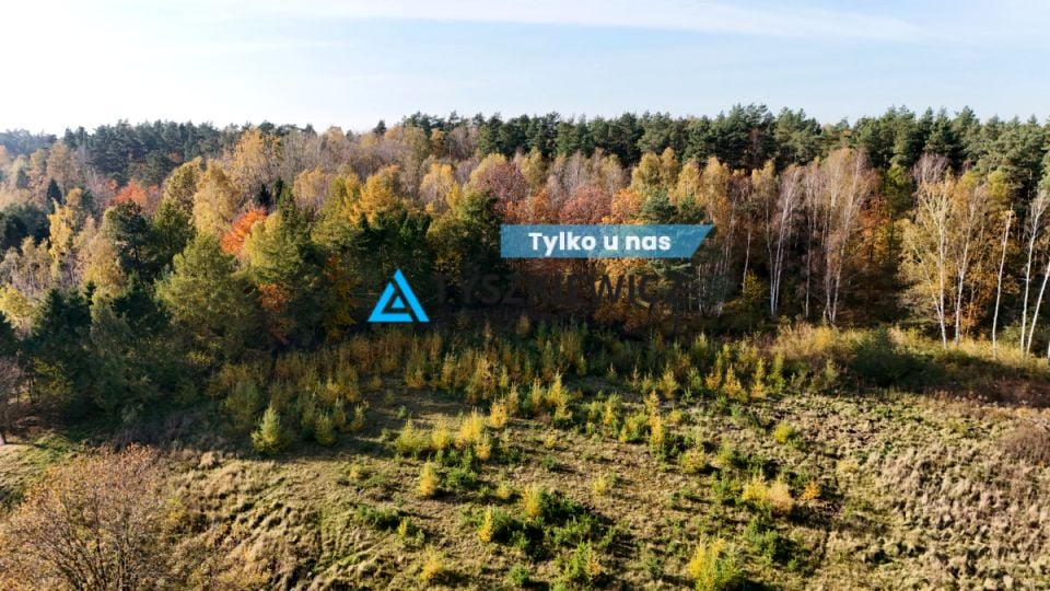 Działka budowlana, ul. Borówkowa
