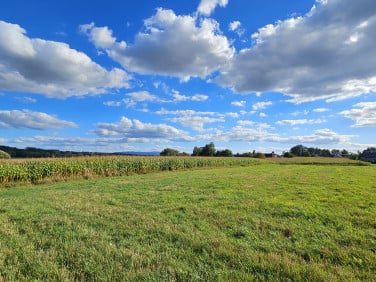 Działka Gierałtowice
