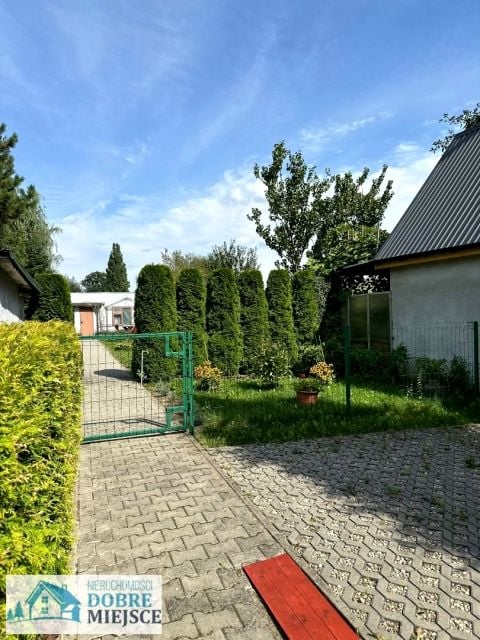 Zdjęcie 2