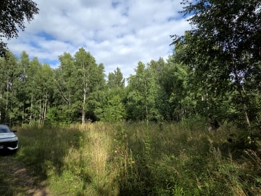 Działka budowlana Lasowiec