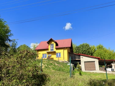 Dom Buszków