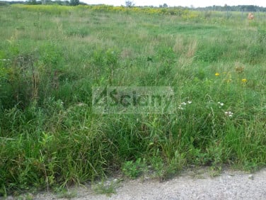 Działka DUCHNÓW