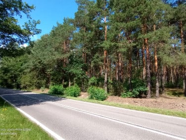 Działka leśna sprzedam