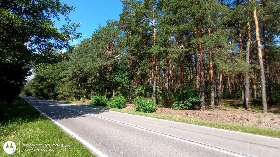 Działka leśna sprzedam