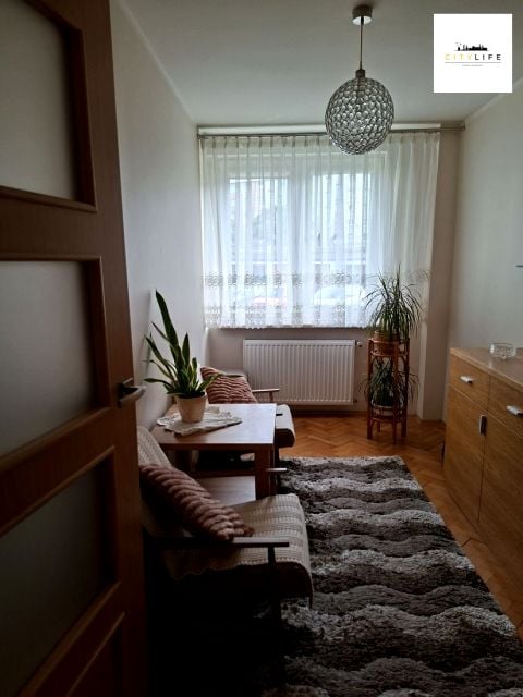 Zdjęcie 3