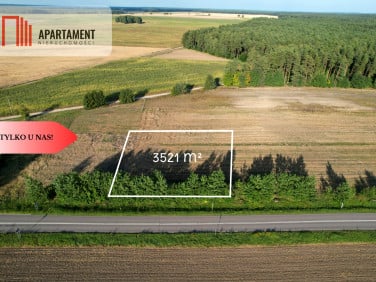 Działka Lisewo