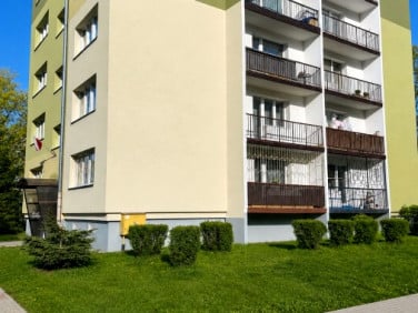 Mieszkanie Łódź