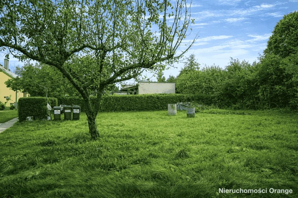 Zdjęcie 3