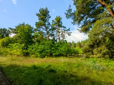 Działka Świeca
