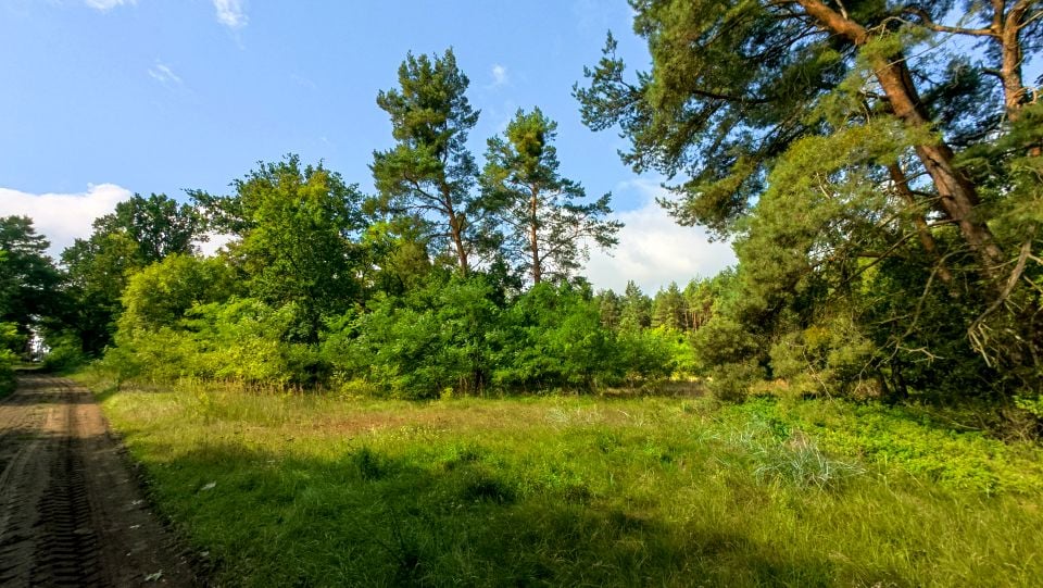 Działka budowlana Świeca