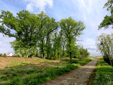 Działka budowlana Lubieszyn