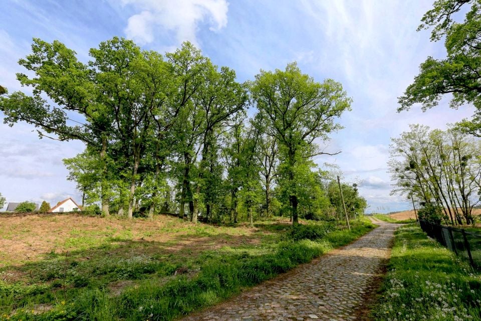 Działka budowlana Lubieszyn