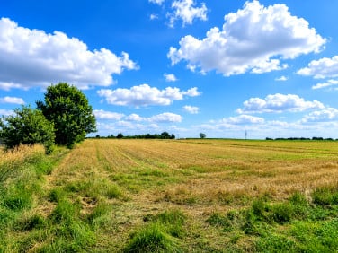 Działka budowlano-rolna Bełk