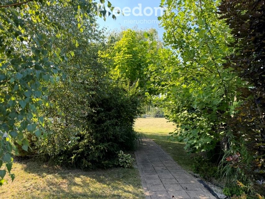 Działka Cekanów