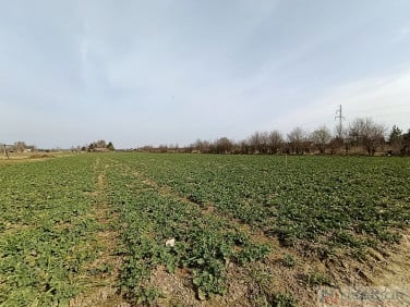 Działka budowlana Stok Lacki