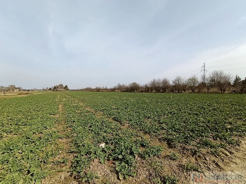 Sprzedam działkę Stok Lacki - 900 m²