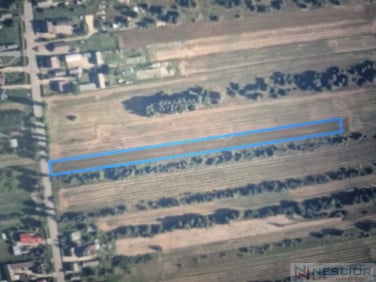 Działka rolna Dąbrowa