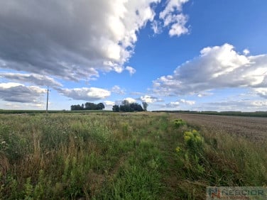 Działka usługowa Nowe Iganie