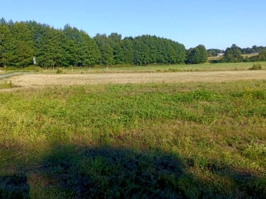 Działka inna Jaszczew