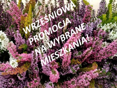 Parkowa