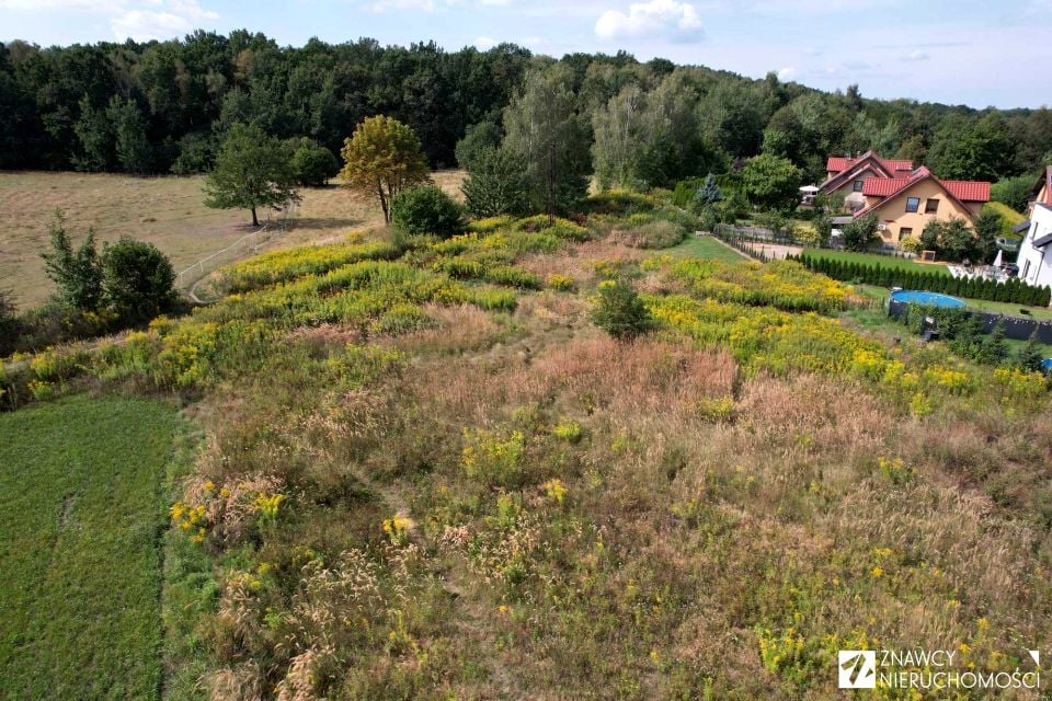 Zdjęcie 2