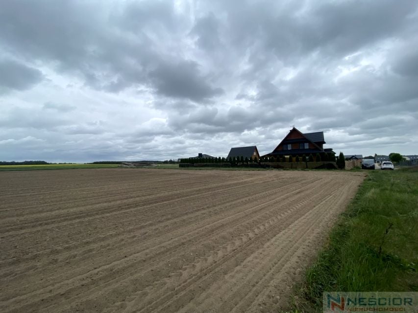 Zdjęcie 3