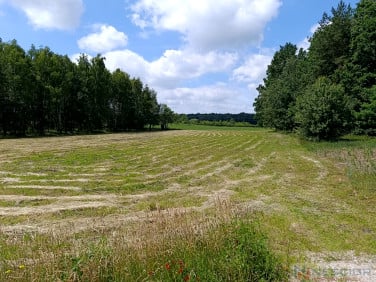 Działka rolna Błogoszcz