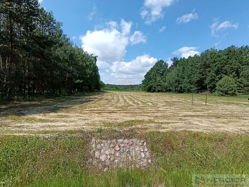 Zdjęcie 3