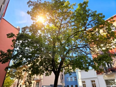 Mieszkanie Częstochowa