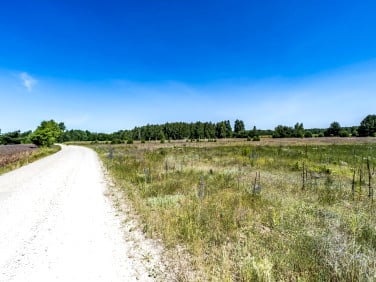 Działka inna Kośminy