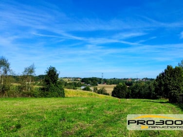 Działka Rudzica