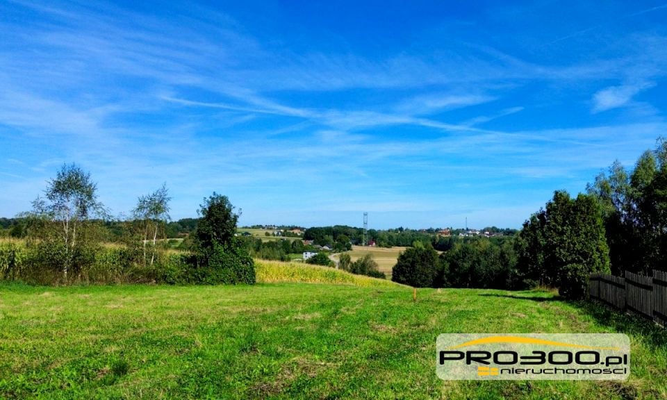 Działka Rudzica