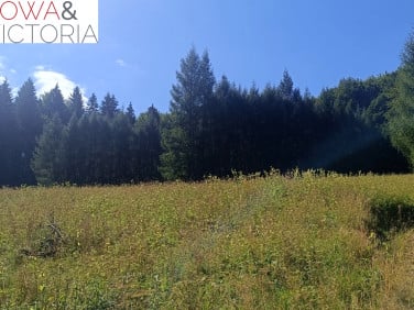 Działka Michałkowa