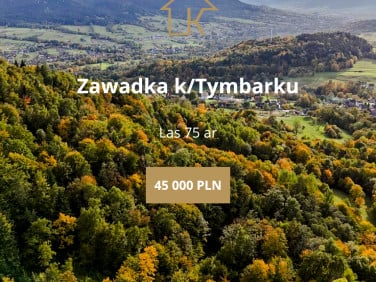 Działka leśna Zawadka