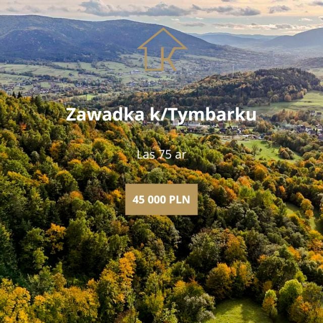 Działka leśna Zawadka