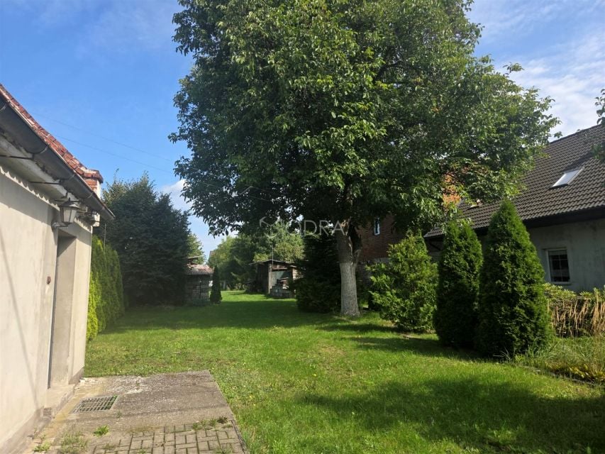 Zdjęcie 3