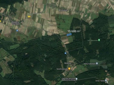 Działka rolna Borucice sprzedam