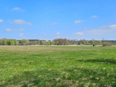 Działka inna Borucice