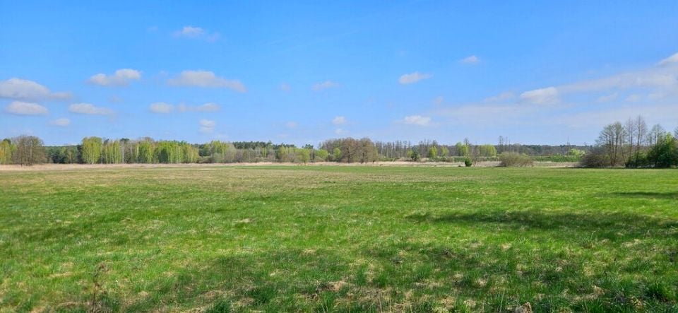 Działka Borucice