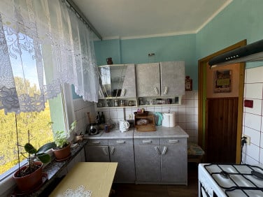 Mieszkanie Gryfów Śląski