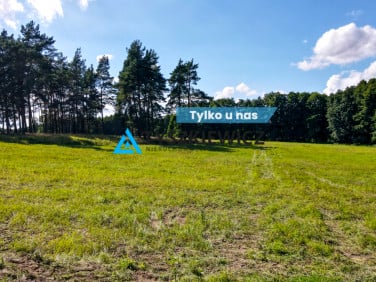 Działka rolna Demlin
