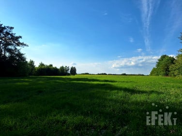 Działka Wycześniak