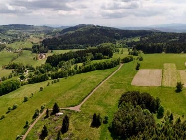 Działka Bartnica