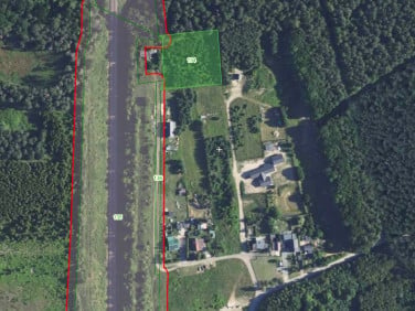 Działka leśna Aleksandrów Kujawski