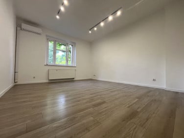 Lokal Poznań
