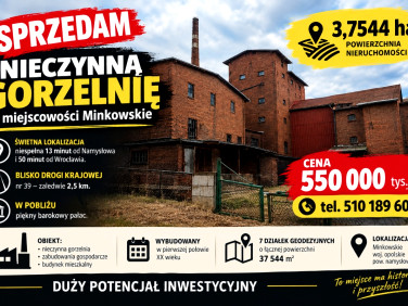 Lokal Domaszowice
