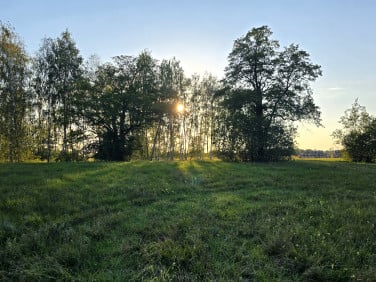 Działka inwestycyjna Skrzeszew
