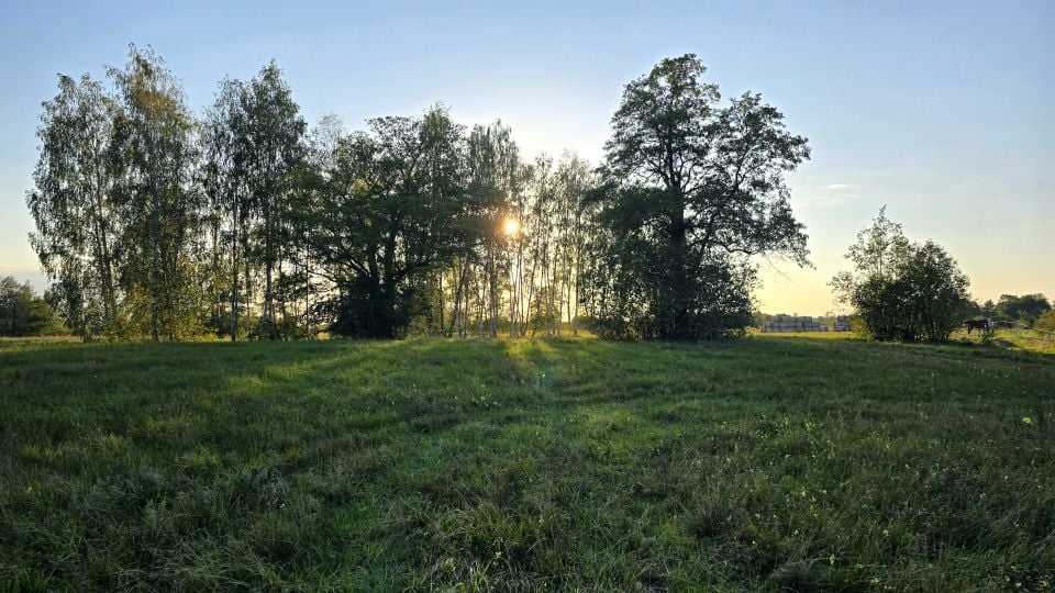 Działka inwestycyjna Skrzeszew