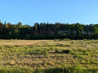 Działka budowlana Emilianów